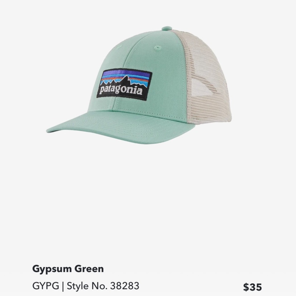 Patagonia SnapBack hat